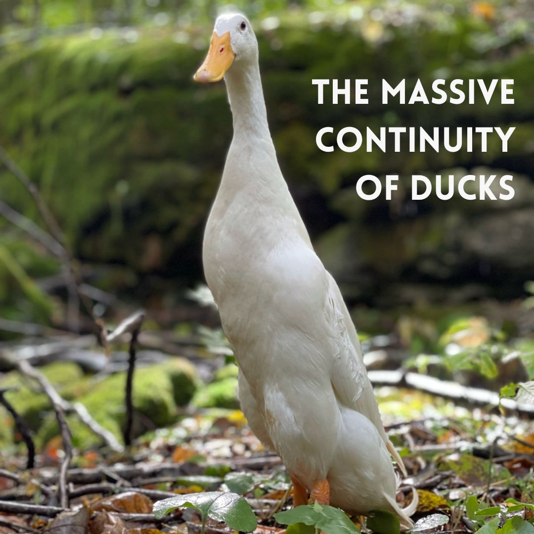 The Massive Continuity of Ducks