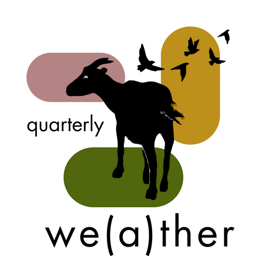 We(a)ther ~ Quarterly